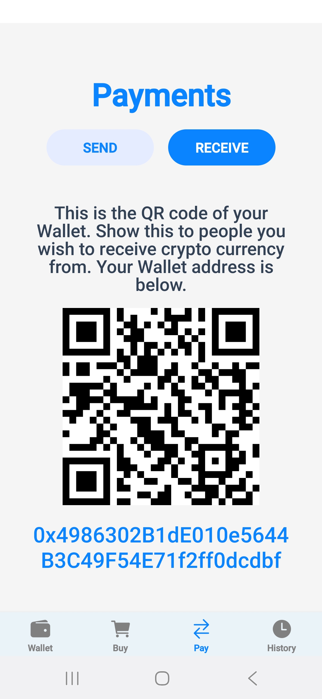 Crypto Pal security settings